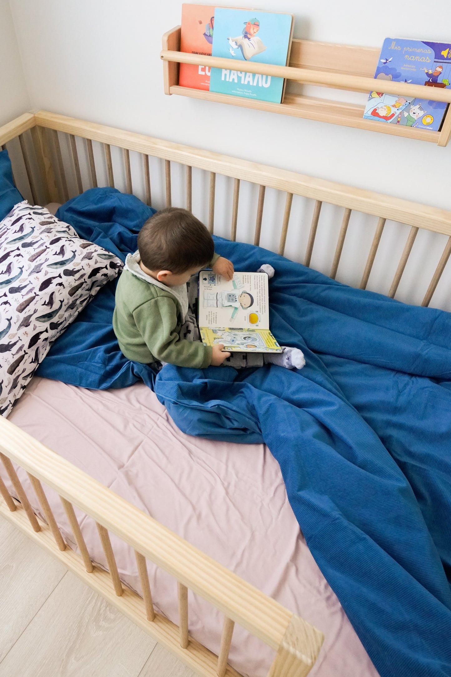 The Little Explorer Bed (pine)